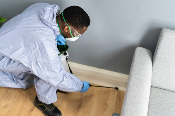 Best Termite Inspection and Treatment  in West Haven Sylvan, OR